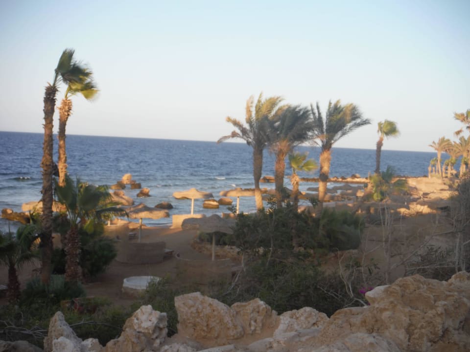 Blick aus der Anlage zum Strand Pickalbatros Citadel Resort