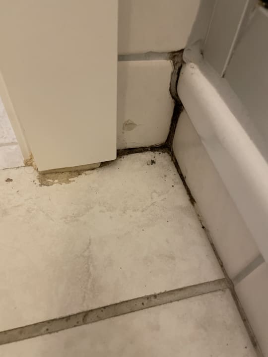 Zimmer Hotel Gremersdorf - Zum grünen Jäger