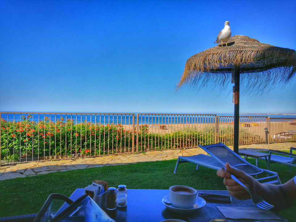 Gastro AP Oriental Beach - Adults Friendly