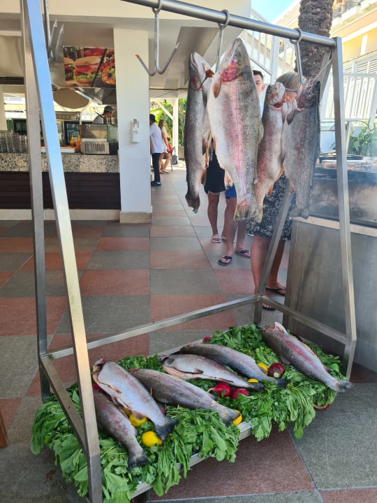 Gastro Crystal De Luxe Comfort Collection