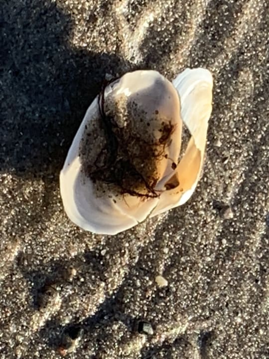 Strand Ferienwohnungen Ferienpark Weissenhäuser Strand