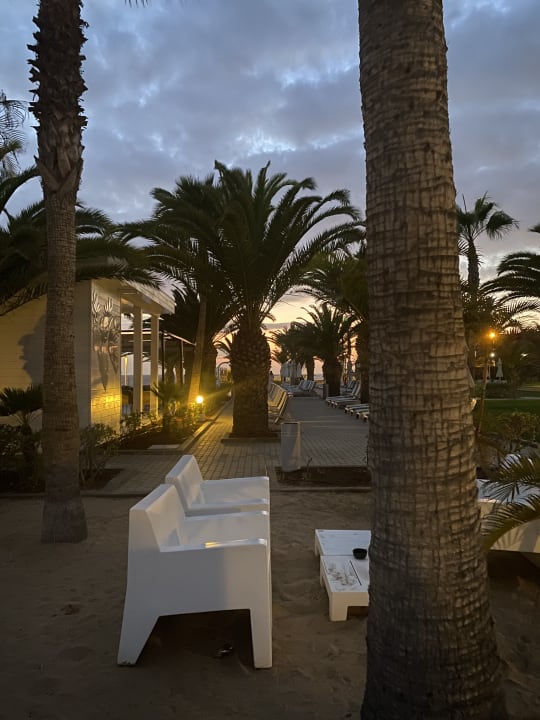 Gartenanlage Hotel Riu Palace Tenerife
