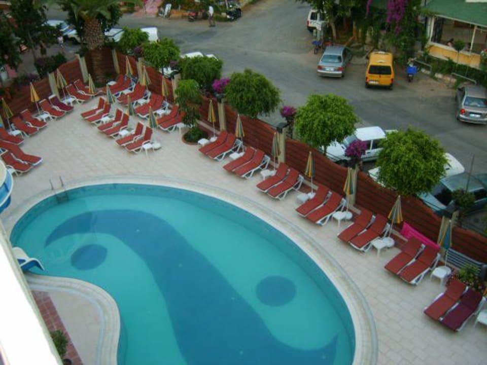 Blick auf den Pool Gardenia Hotel