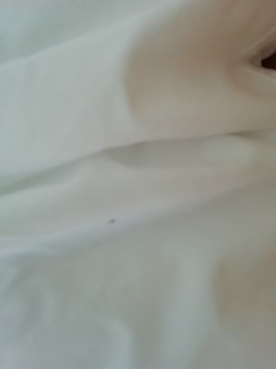 Zimmer Hotel Vile Park