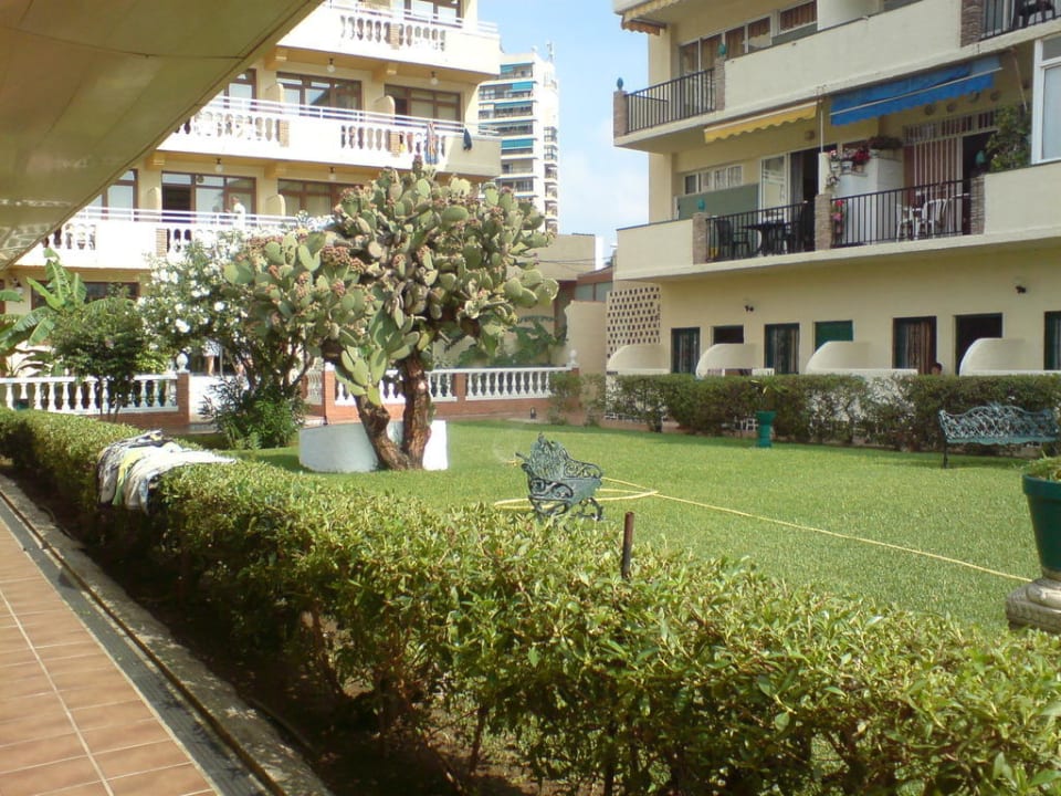 Blick in den Innenbereich Hotel Los Jazmines