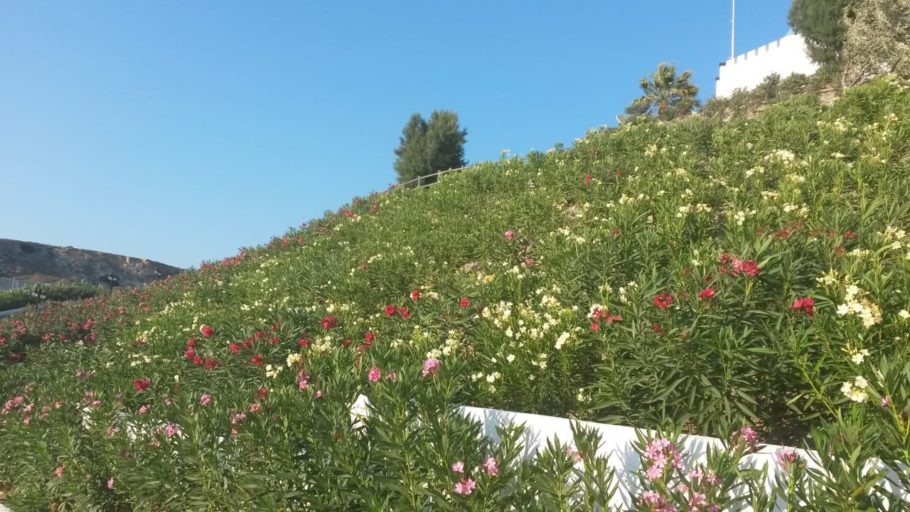 Gartenanlage Lagas Aegean Village