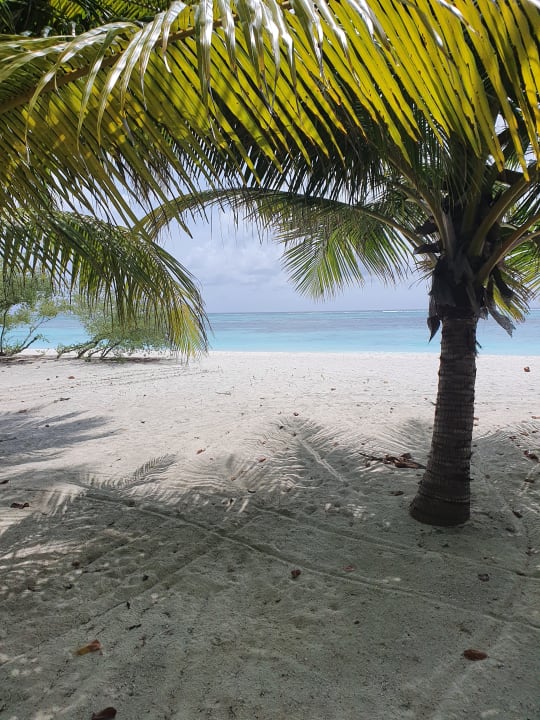 Ausblick Meeru Maldives Resort Island