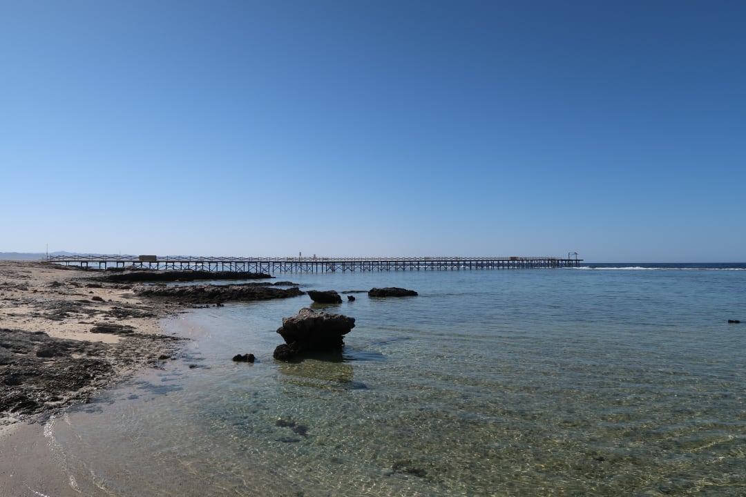 Strand Pickalbatros Sea World Resort - Marsa Alam