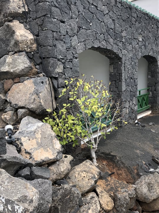 Gartenanlage Hotel LIVVO Volcan Lanzarote