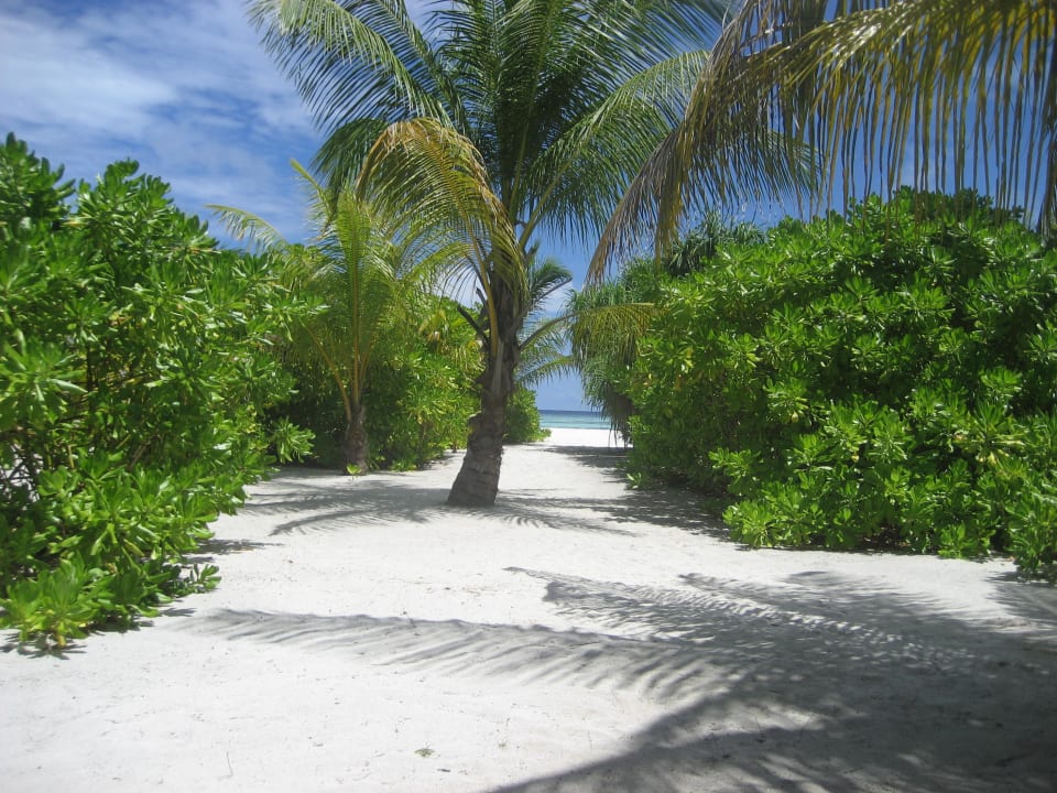 Der Blick von unserer Terrasse direkt aufs Meer Angsana Velavaru