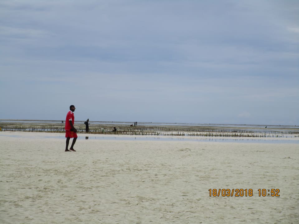 Strand Neptune Pwani Beach Resort & Spa