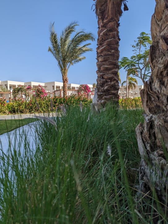 Gartenanlage Steigenberger Resort Ras Soma