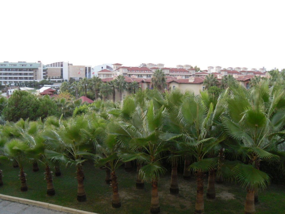 Palmenweg Hotel Miramare Beach