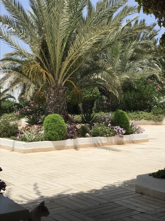 Gartenanlage Hotel Seabel Rym Beach Djerba