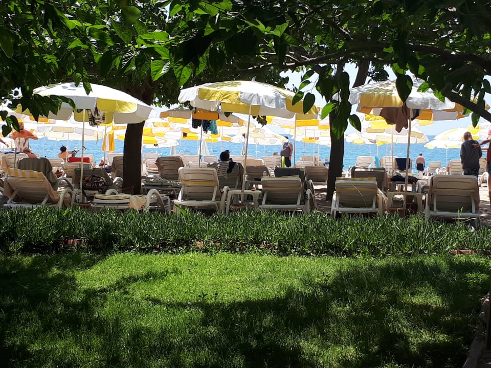 Strand Hotel Gardenia Beach