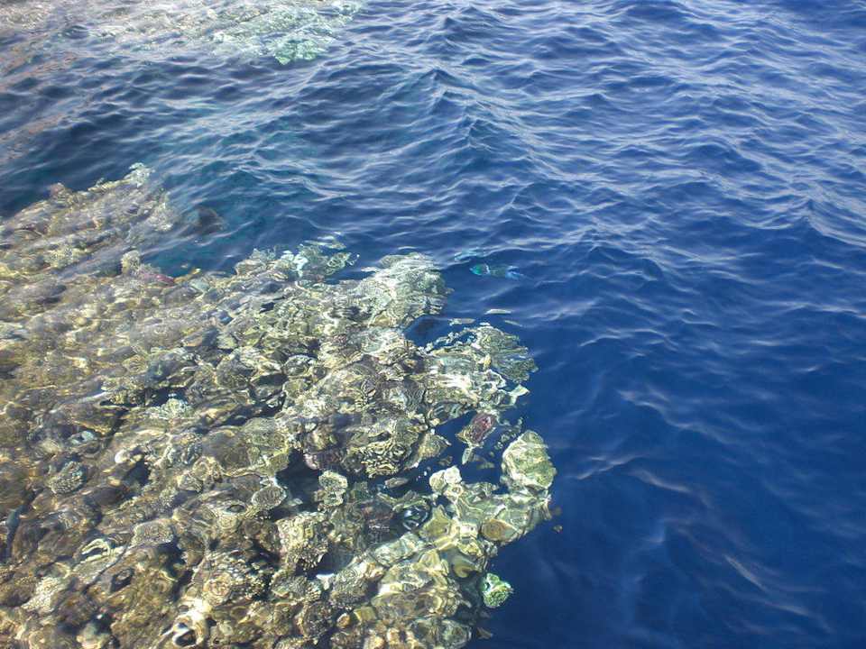 Riff The Grand Hotel Sharm El Sheikh