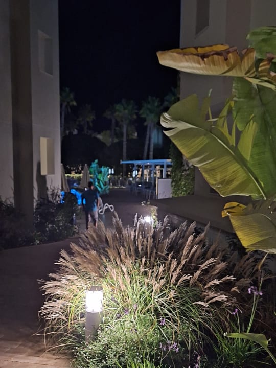 Gartenanlage Hipotels Mediterraneo Club