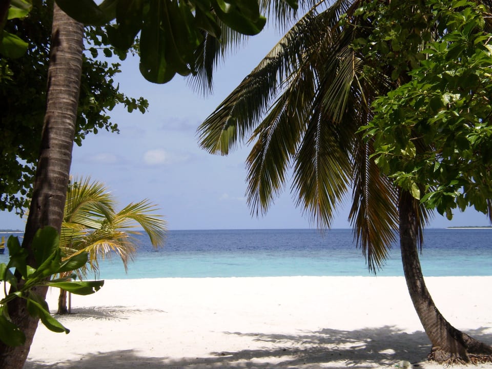 Am Strandbereich vor dem Pool und der Sunset-Bar Adaaran Select Meedhupparu Island Resort - Premium All Inclusive