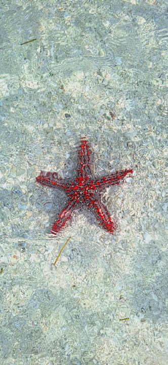 Strand Royal Zanzibar Beach Resort