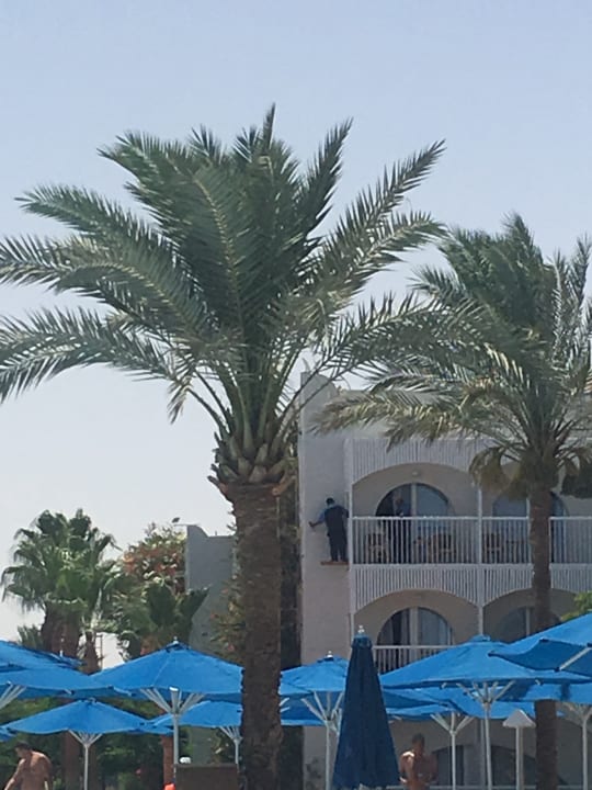 Außenansicht Desert Rose