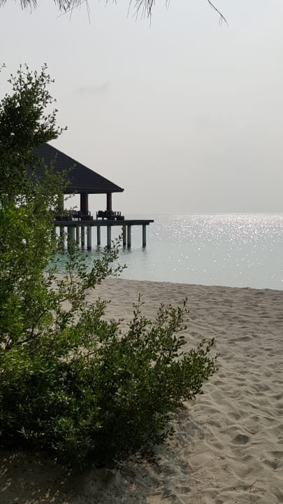 Strand Summer Island Maldives