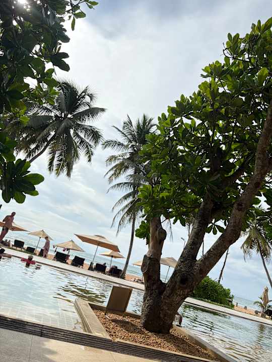 Pool Pandanus Beach Resort & Spa