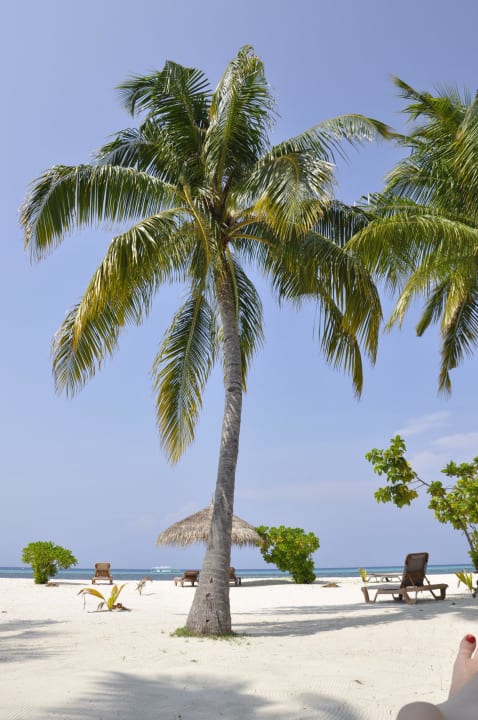 Ausblick von der Terrasse JBV Nr. 219 Kuredu Island Resort & Spa