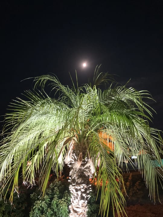 Gartenanlage Atlantica Mikri Poli Rhodes