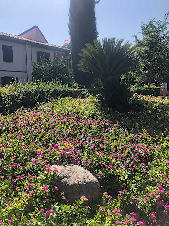 Gartenanlage Starlight Resort Hotel