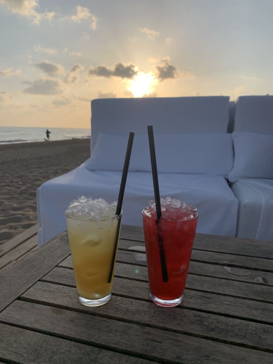 Strand Paloma Finesse