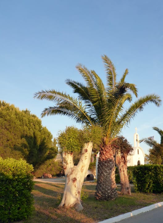 Gartenanlage Smy Kos Beach & Splash