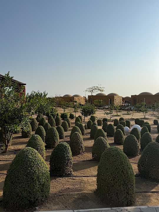 Gartenanlage Pickalbatros Villaggio Resort - Portofino