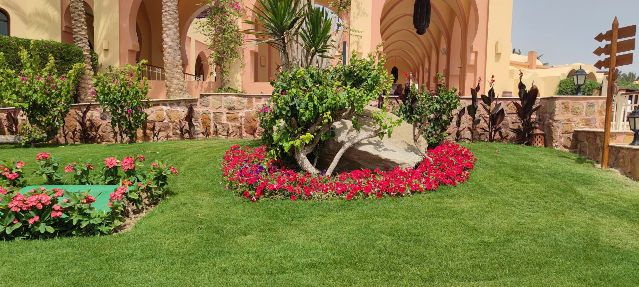 Gartenanlage Steigenberger Coraya Beach - Adults only