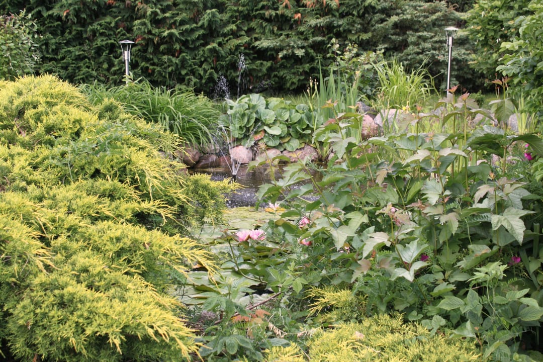 Pflanzen Oasis Resort & Spa