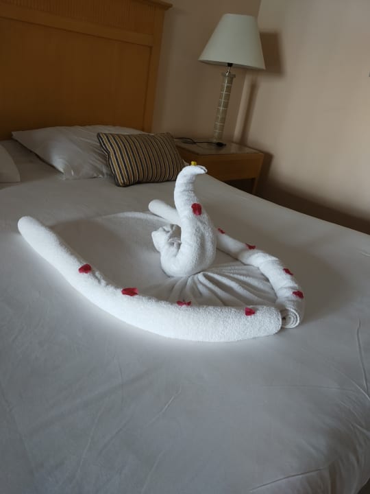 Zimmer Hotel JAZ Makadi Star & Spa