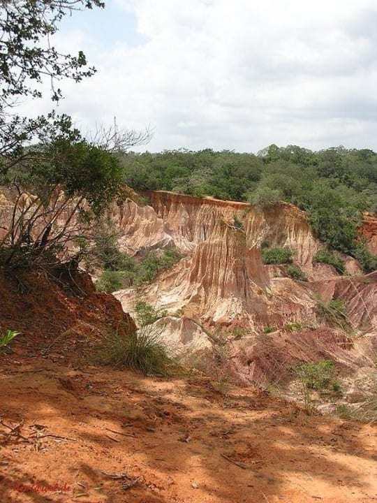 Hell's Kitchen 20 Hotel Traveller's Club