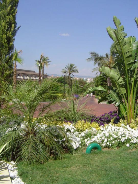 Garten Sunis Elita Beach Resort & Spa