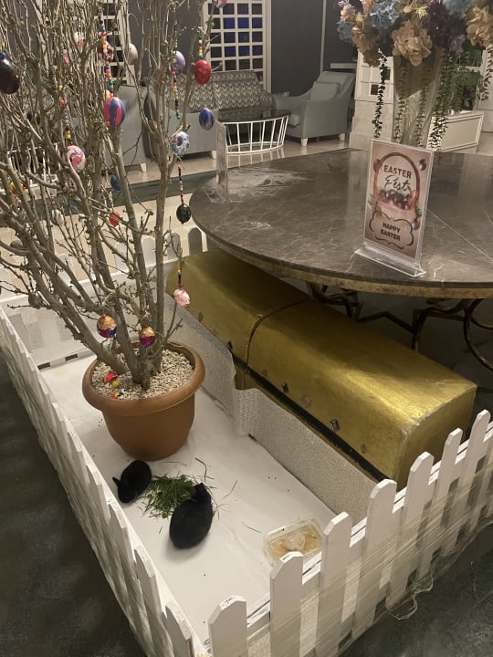 Lobby Bella Resort & Spa