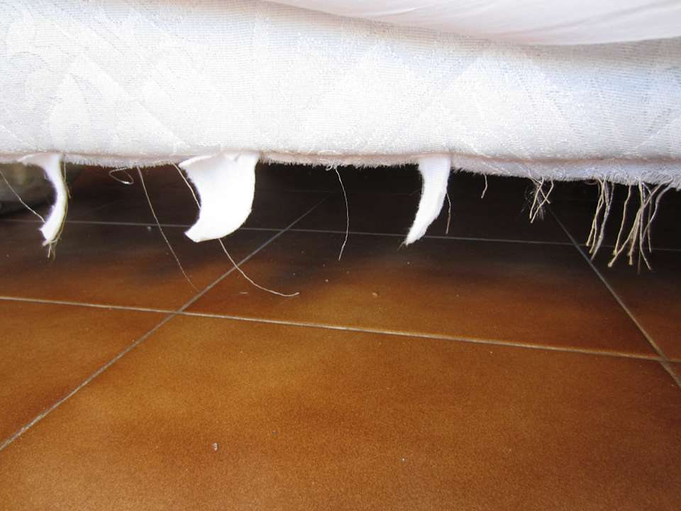 Matrarte aus der Futter kommt Bei Juan Playa Blanca