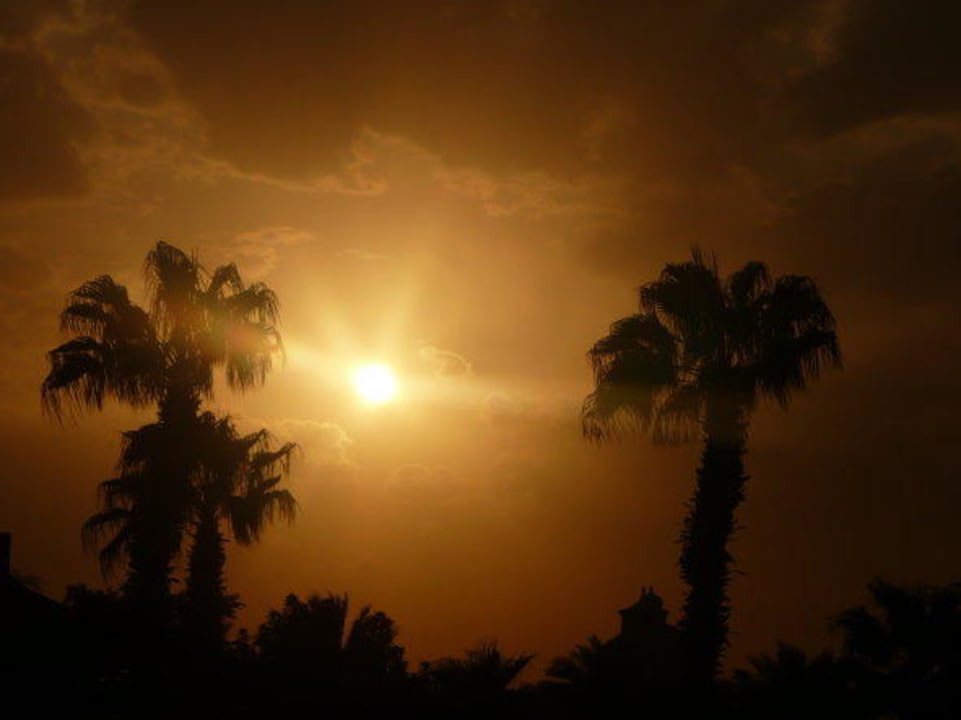Sonnenuntergang vom Relaxpool Beach Albatros Resort