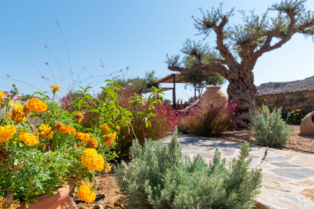 Gartenanlage Yiannis Retreat