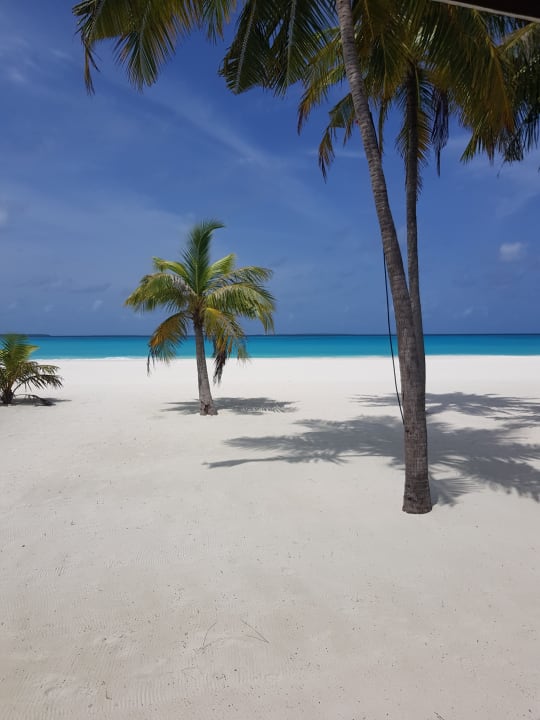 Strand Hondaafushi Island Resort