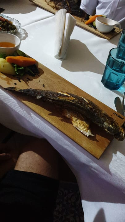 Gastro Club Hotel Anjeliq