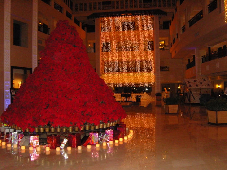 Weihnachtsbaum aus Weihnachtssterne Steigenberger ALDAU Beach Hotel