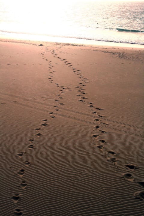 Spuren im Sand Occidental Boa Vista Beach