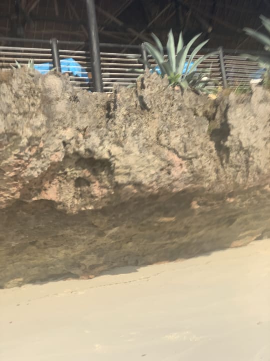Sonstiges Royal Zanzibar Beach Resort
