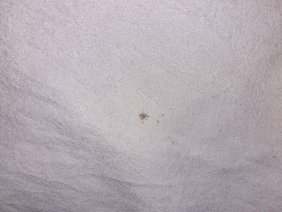 Zimmer Hotel Imperial