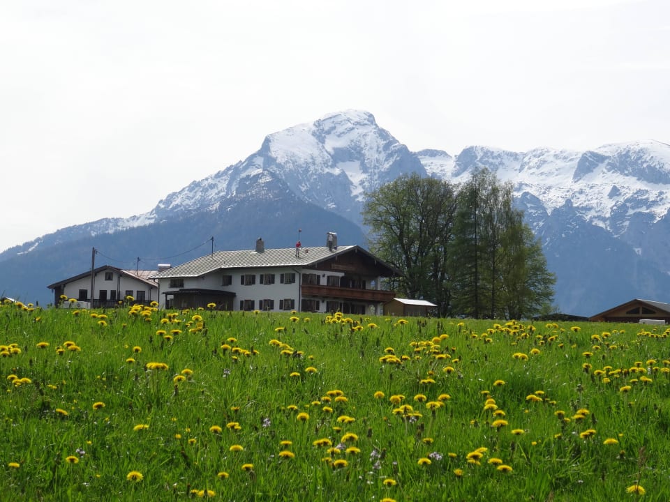 Ausbick auf Hoher Göll Pension Loiplstüberl