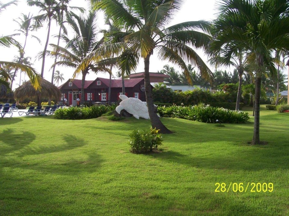 Einfach traumhaft Punta Cana Princess All Suites Resort & Spa