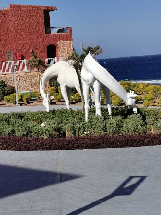 Gartenanlage Pickalbatros Villaggio Resort - Portofino